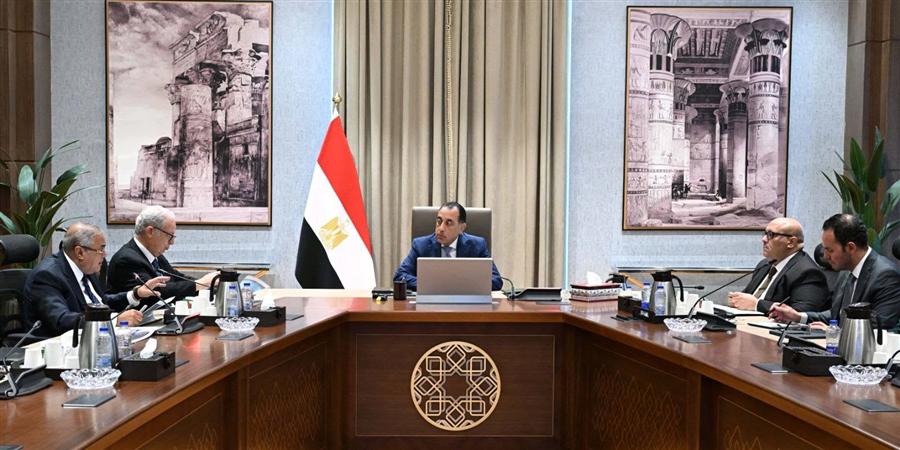 مدبولي: خطة لإعادة هيكلة الشركات المملوكة للدولة لتعزيز الكفاءة